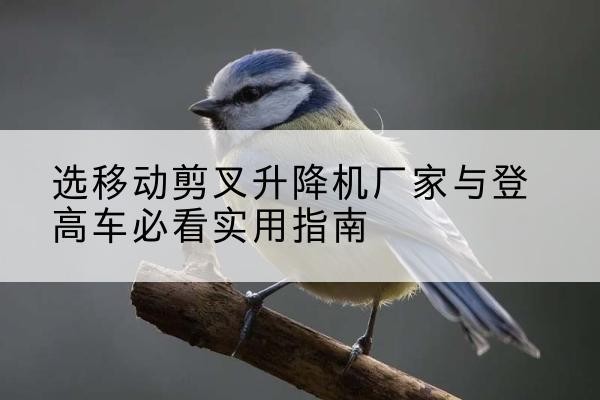 防城电动升降机厂家-选移动剪叉升降机厂家与登高车必看实用指南