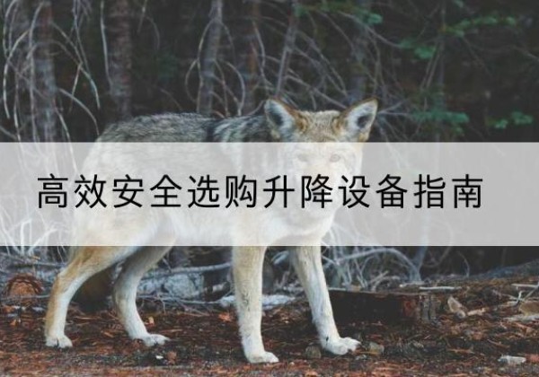 防城升降货梯厂家推荐-*安全选购升降设备指南