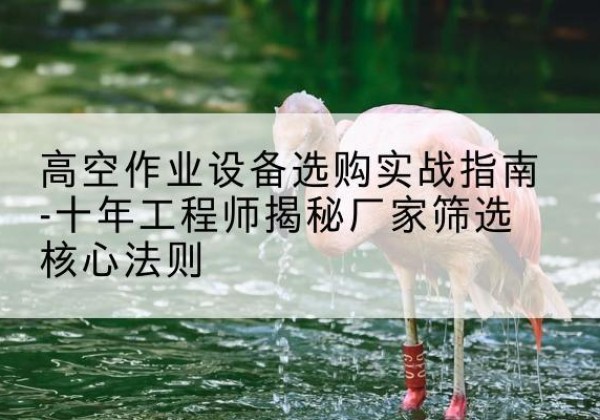 防城剪叉式升降机厂家-高空作业设备选购实战指南-十年工程师揭秘厂家筛选核心法则